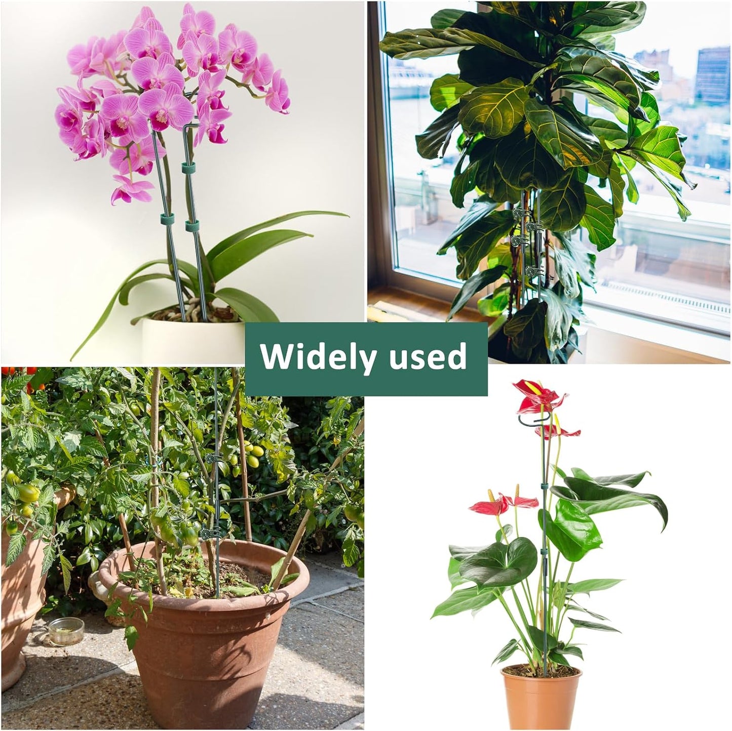 4 Set Metal Plant Sticks Support Tall 48 Inch Adjustable Plants Stem Support Rod Amaryllis Holder Stake Garden Flower Rings with 20PCS Clips 16.5' Plant Ties for Outdoor Indoor Plants