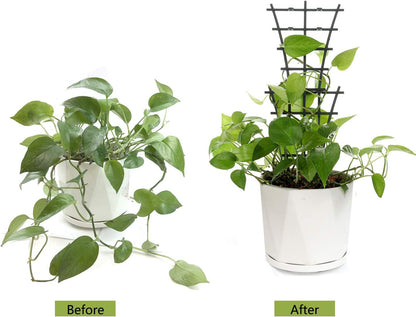 6Pcs Indoor Plant Trellis for Climbing Plants Outdoor, Stackable