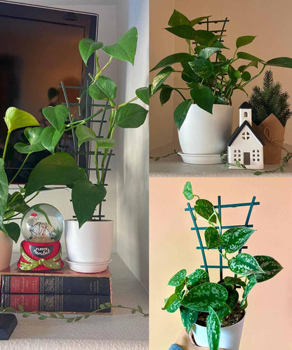 6Pcs Indoor Plant Trellis for Climbing Plants Outdoor, Stackable