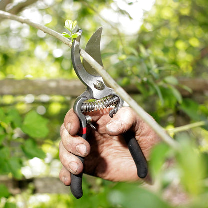 Drop Forged Bypass & Anvil Pruners Set, 2 Piece Professional Garden Pruning Tools, Durable Steel Blades, Comfortable Ergonomic Handles