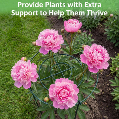 8 Pack Large Peony Cages and Supports 23.6"h x 15.7"d Heavy Duty Plant Support for Outdoor Plants, Meatl Peony Rings, Flower Support Stakes, Garden Stakes for Rose Tomato Hydrangea Strawberry
