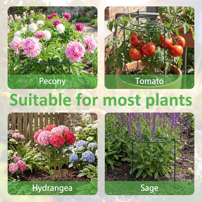 8 Pack Large Peony Cages and Supports 23.6"h x 15.7"d Heavy Duty Plant Support for Outdoor Plants, Meatl Peony Rings, Flower Support Stakes, Garden Stakes for Rose Tomato Hydrangea Strawberry