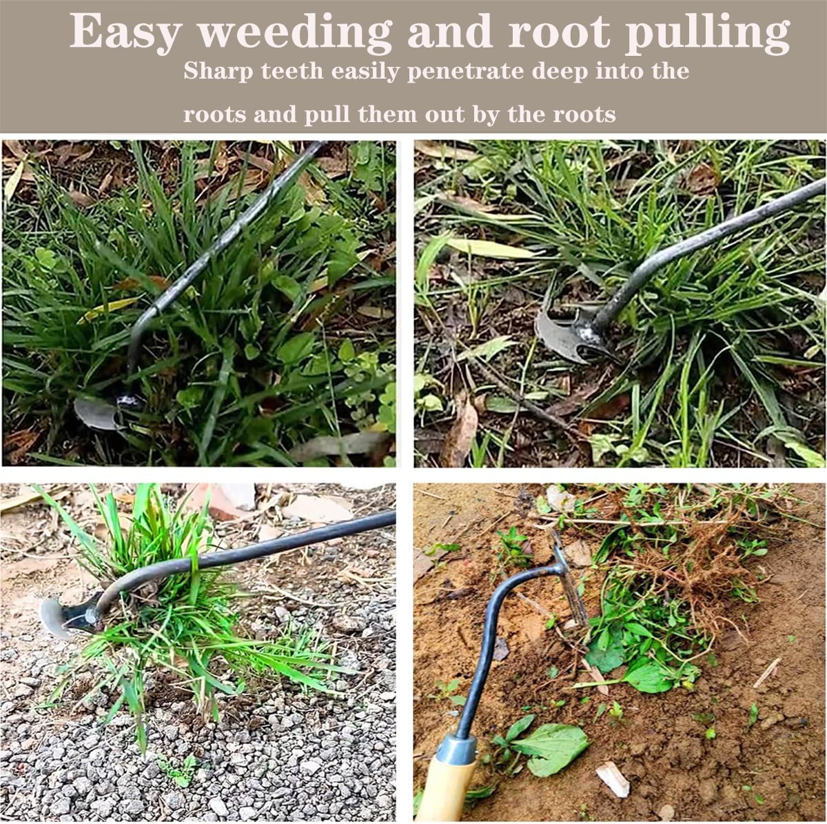 Weed Puller Tool, 4-Tooth Head and Gloves for Root Removal