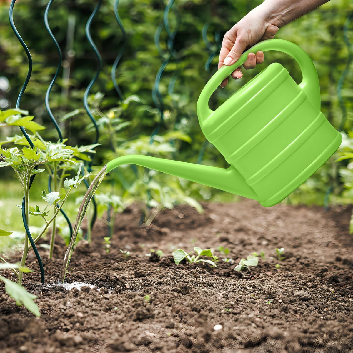 Watering Can - for Indoor Plant Garden - 1/3 Gallon - Green