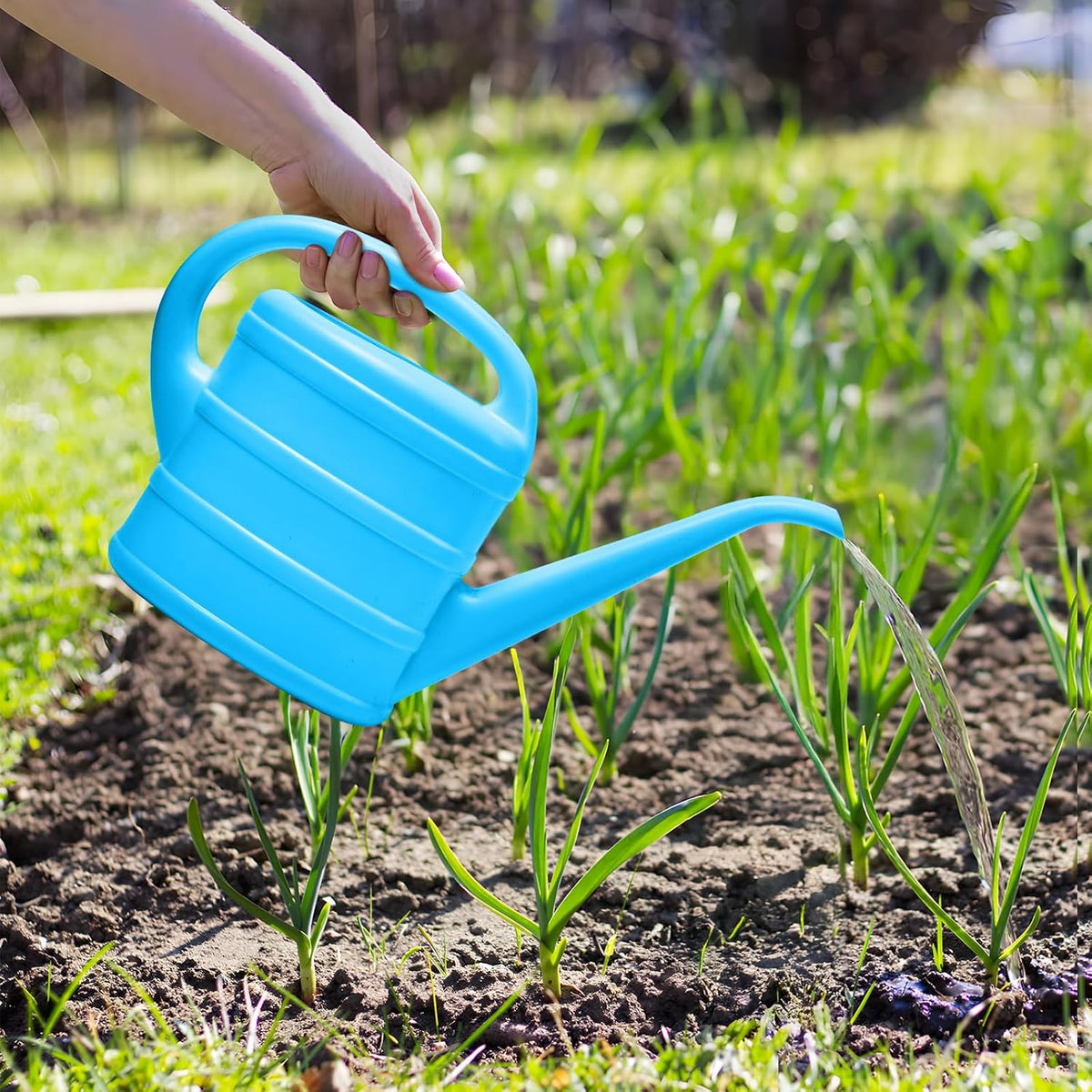 Watering Can - for Indoor Plant Garden - 1/3 Gallon - Green