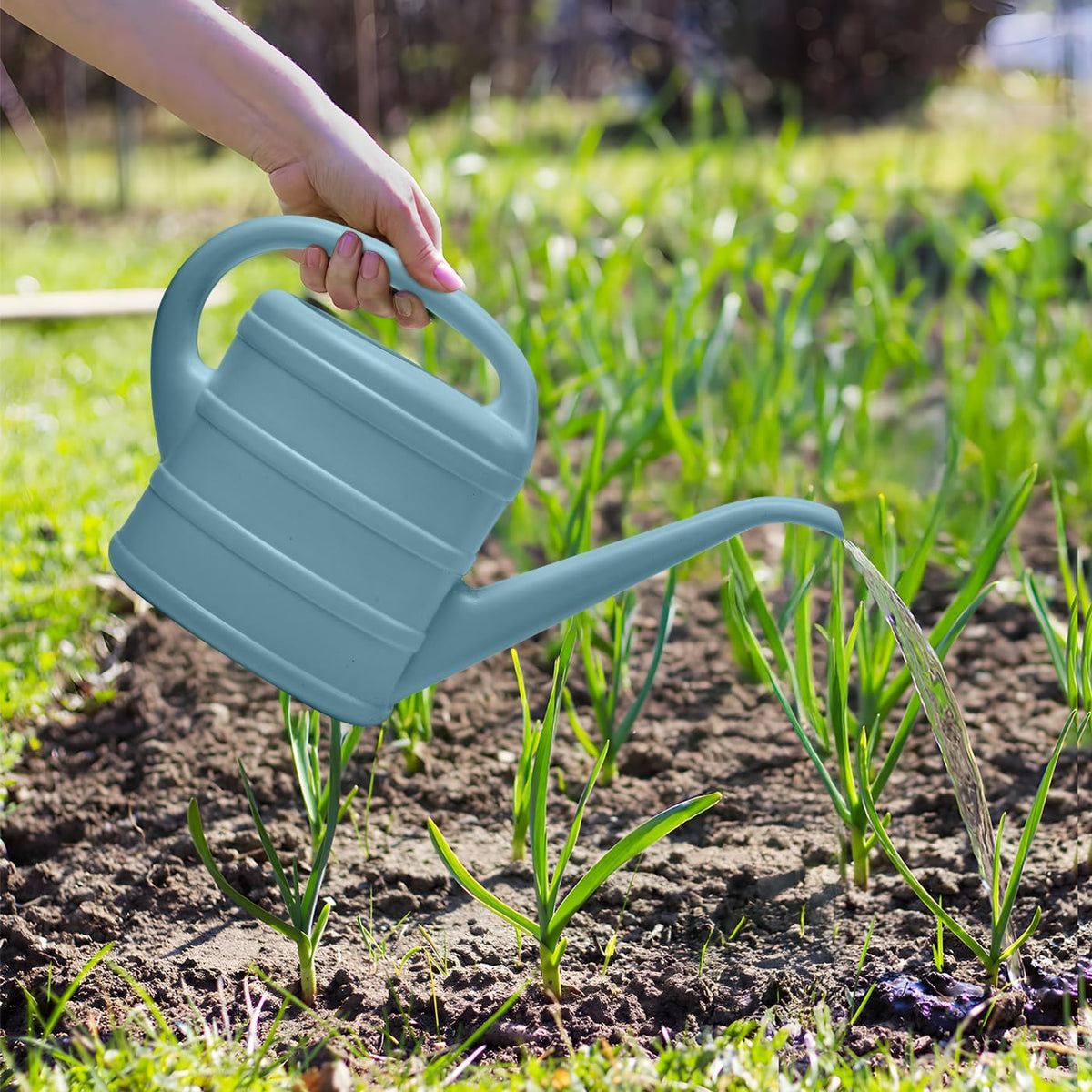 Watering Can - for Indoor Plant Garden - 1/3 Gallon - Green
