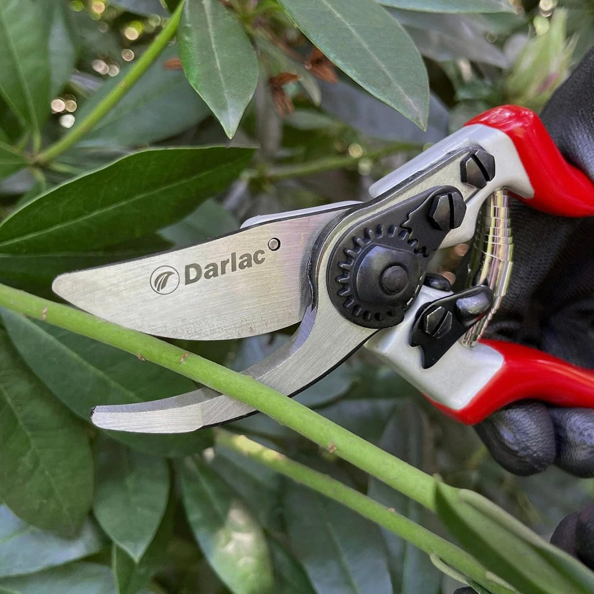 Darlac Expert Bypass Pruners, Ergonomic Hand Pruners with SK5 Carbon Steel Blade, 1-Inch Cutting Capacity, Lightweight Precision Garden Tool