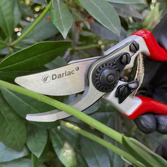 Darlac Expert Bypass Pruners, Ergonomic Hand Pruners with SK5 Carbon Steel Blade, 1-Inch Cutting Capacity, Lightweight Precision Garden Tool
