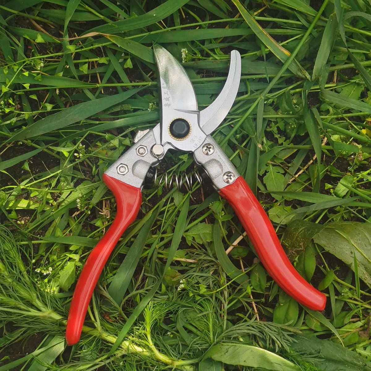 Pruning Shears for Gardening, Garden Scissors and Clippers, Professional Branch Garden Secateurs (Red)
