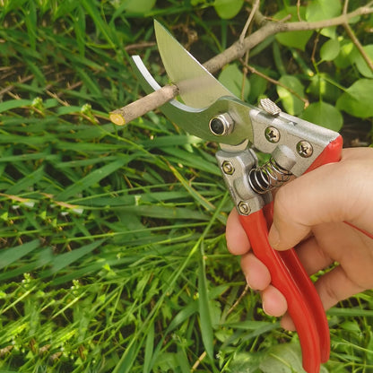 Pruning Shears for Gardening, Garden Scissors and Clippers, Professional Branch Garden Secateurs (Red)