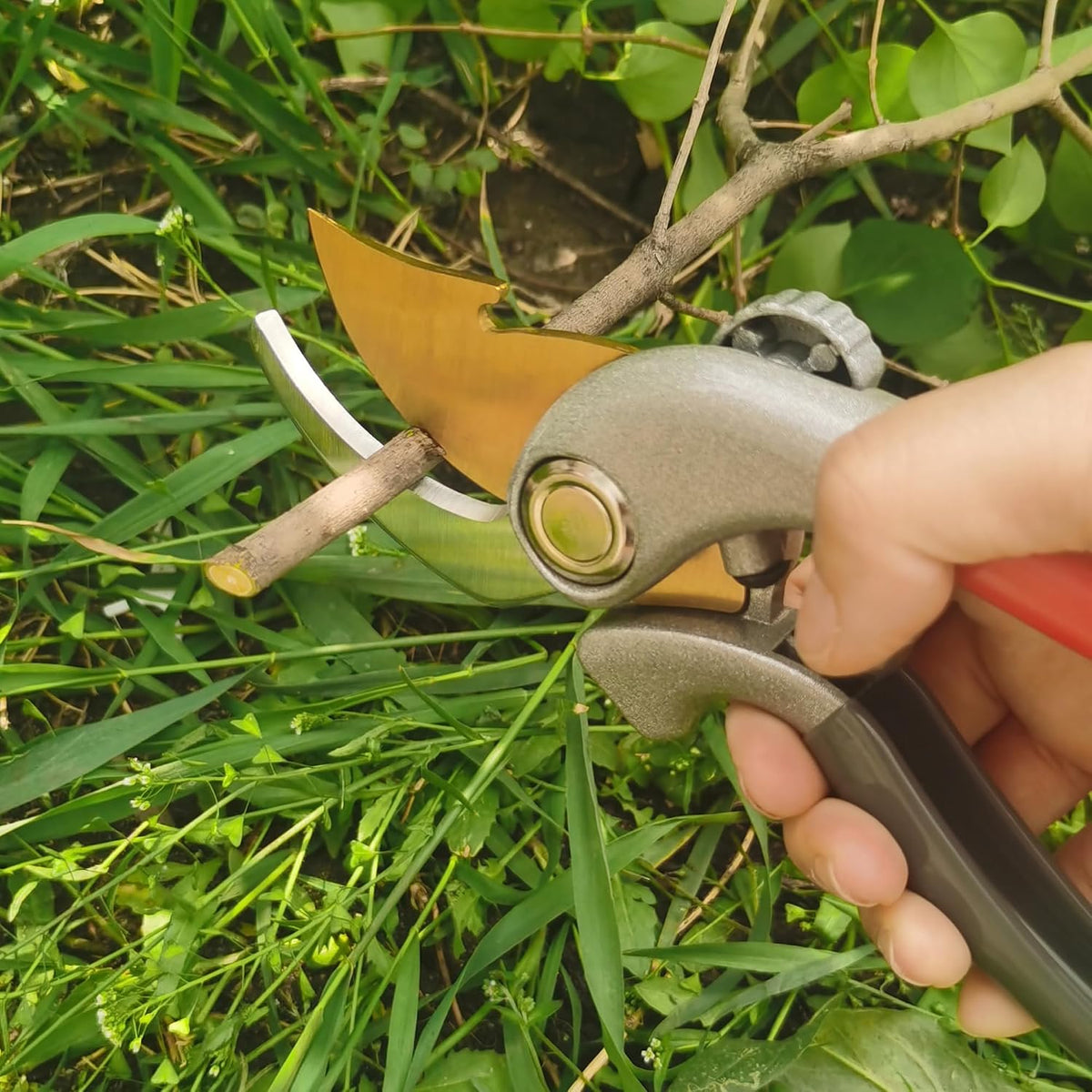 Pruning Shears for Gardening, Garden Scissors and Clippers, Professional Branch Garden Secateurs (Red)