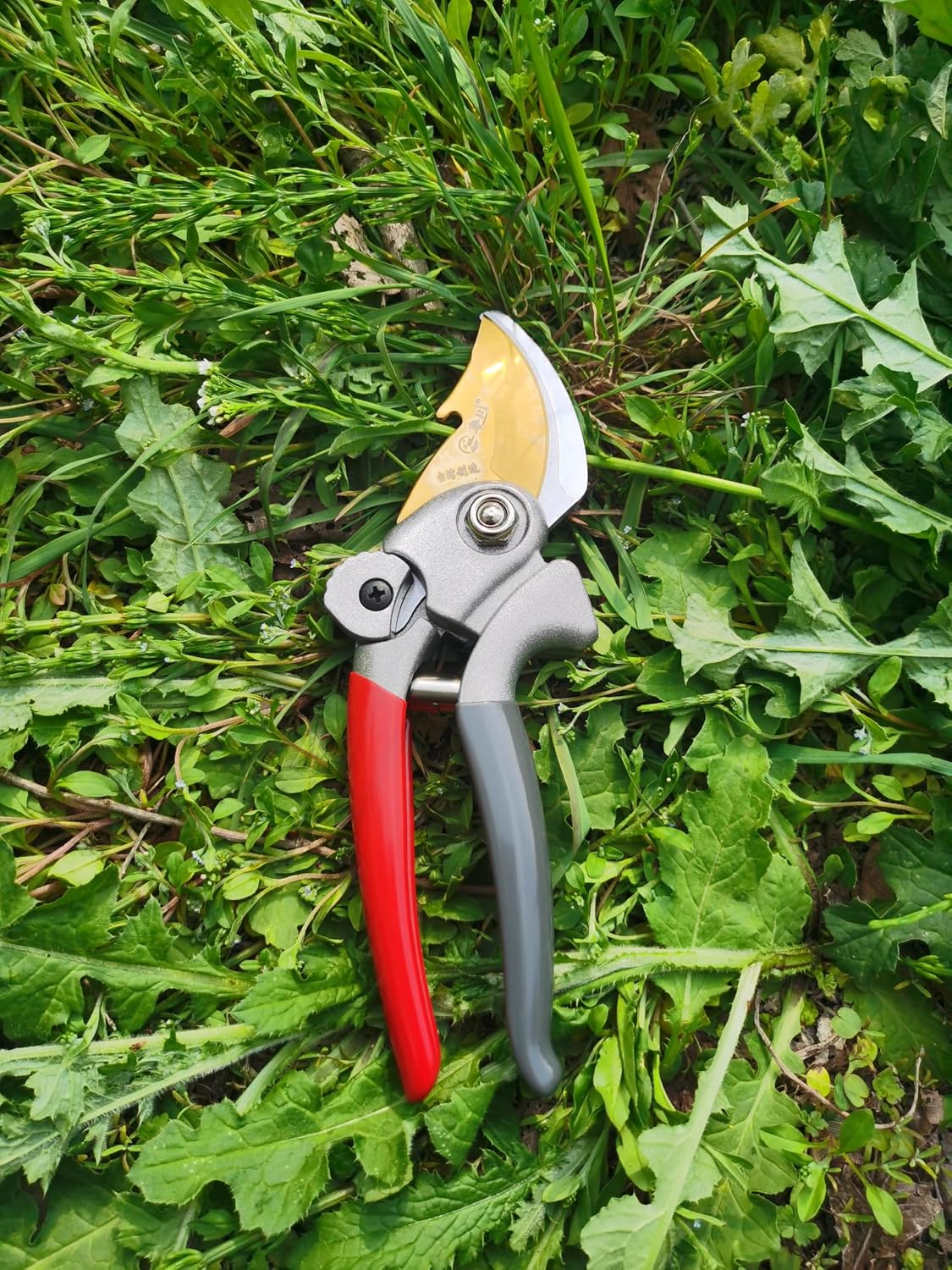 Pruning Shears for Gardening, Garden Scissors and Clippers, Professional Branch Garden Secateurs (Red)