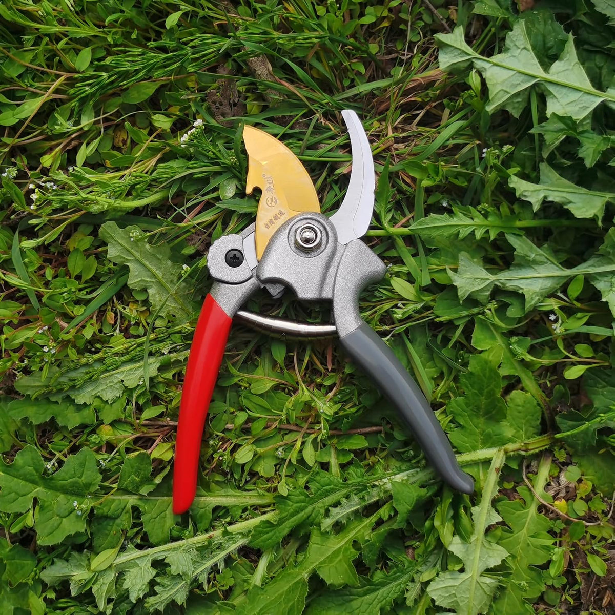 Pruning Shears for Gardening, Garden Scissors and Clippers, Professional Branch Garden Secateurs (Red)