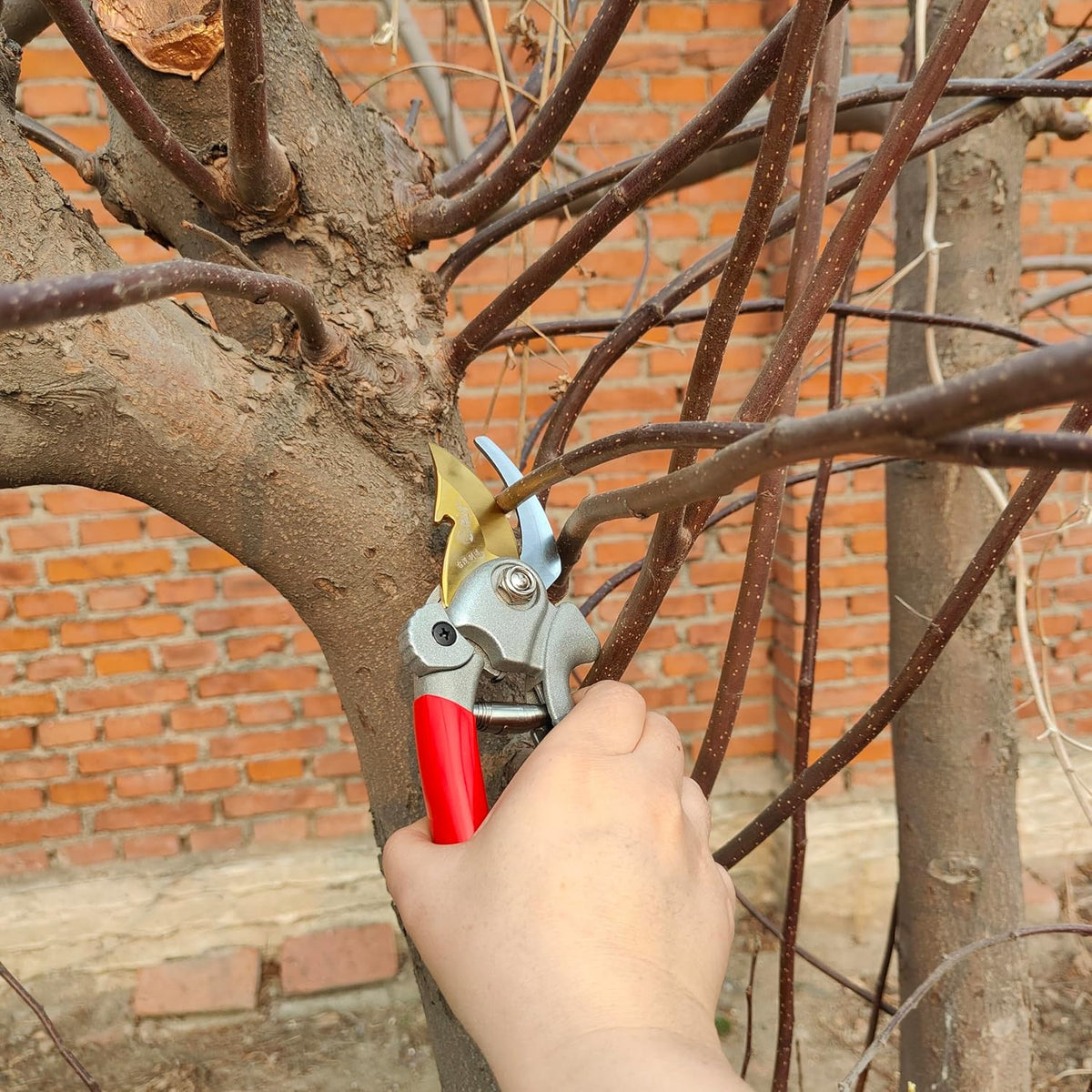 Pruning Shears for Gardening, Garden Scissors and Clippers, Professional Branch Garden Secateurs (Red)