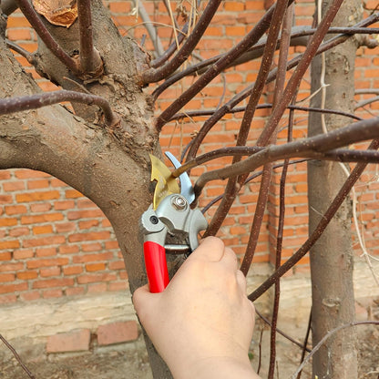 Pruning Shears for Gardening, Garden Scissors and Clippers, Professional Branch Garden Secateurs (Red)