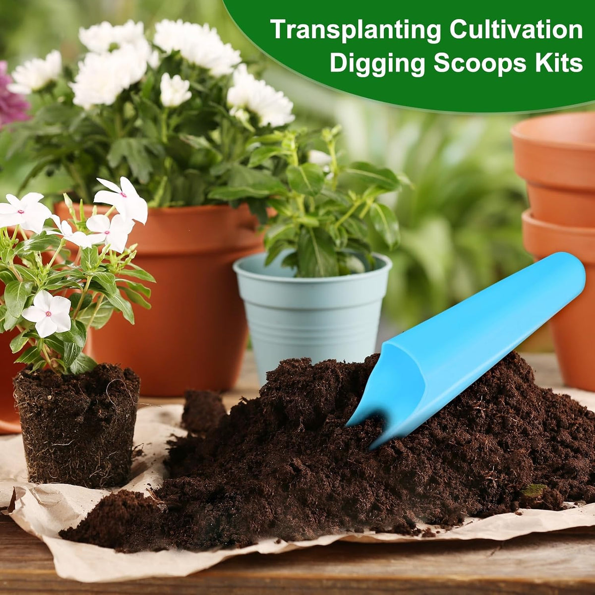 2-Pack Bonsai Soil Scoops, Plastic Garden Soil Scoops Bucket Shovel Potting Scoopers for Transplanting/Flower Planting/Plant Succulent, Colorful Small Gardening Tools [Black]