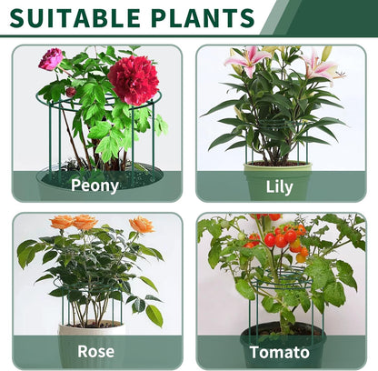 4pack Peony Cages and Supports, 10 x 16 Inch Four Legs Peony Cage, Heavy-Duty Peonies Support Cages, Peony Ring for Roses, Hydrangeas, Sage, Peonies, Cucumbers, Tomato