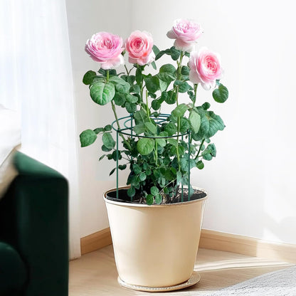4pack Peony Cages and Supports, 10 x 16 Inch Four Legs Peony Cage, Heavy-Duty Peonies Support Cages, Peony Ring for Roses, Hydrangeas, Sage, Peonies, Cucumbers, Tomato