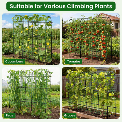 7 ft Garden Arch Tunnel Trellis for Climbing Plants Outdoor