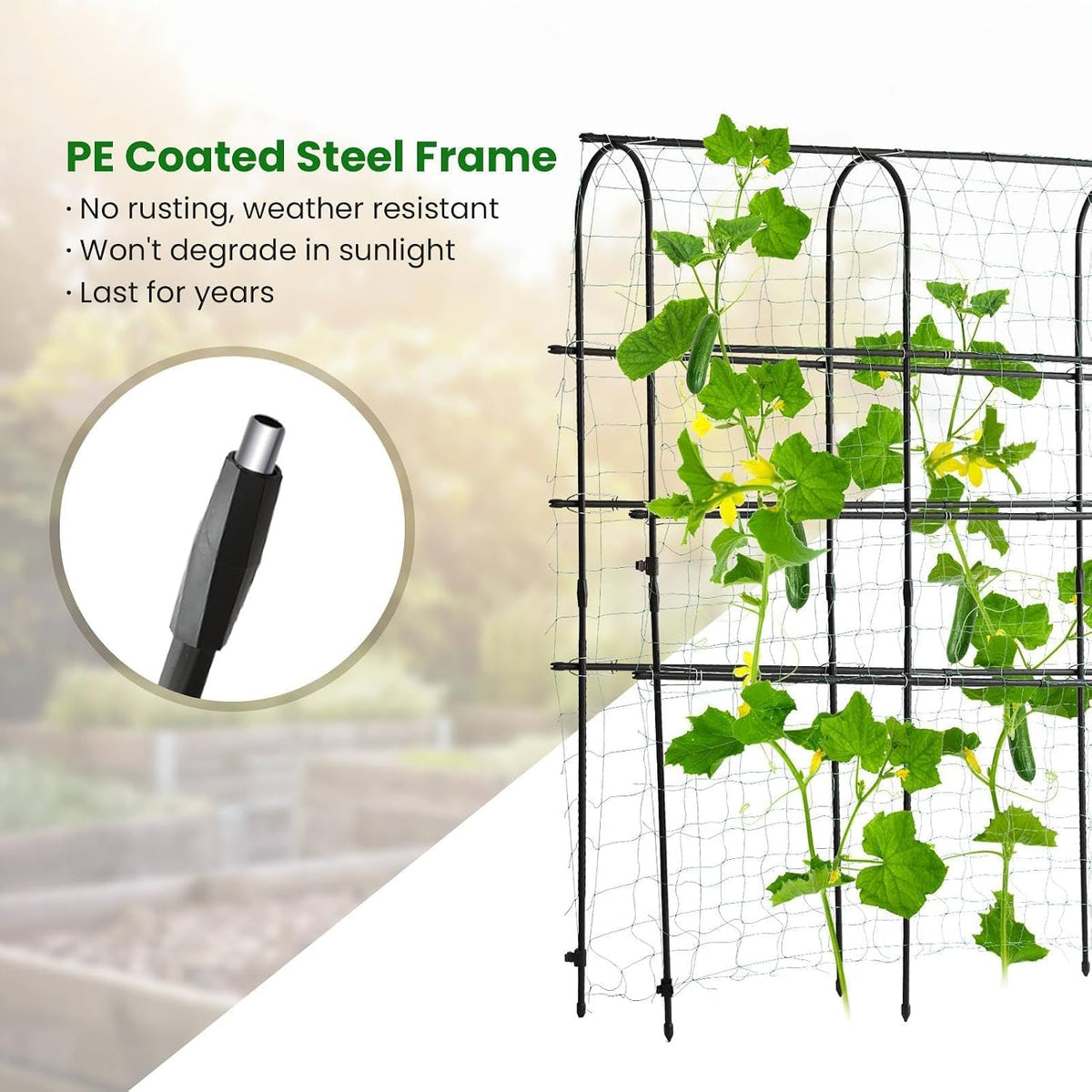 7 ft Garden Arch Tunnel Trellis for Climbing Plants Outdoor