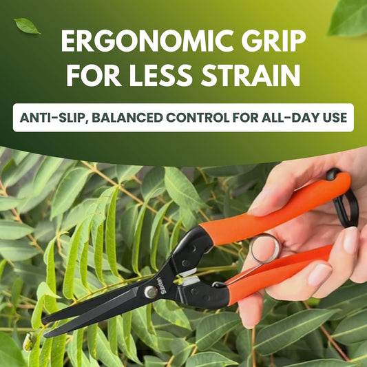 Saboten 7.9" Professional Japanese Harvesting Shears – Straight Blade, Stainless Steel with Fluorine Coating, Spring-Loaded, Ergonomic Grip – , Made in Japan