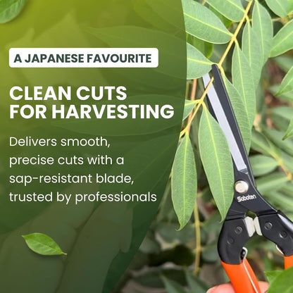 Saboten 7.9" Professional Japanese Harvesting Shears – Straight Blade, Stainless Steel with Fluorine Coating, Spring-Loaded, Ergonomic Grip – , Made in Japan