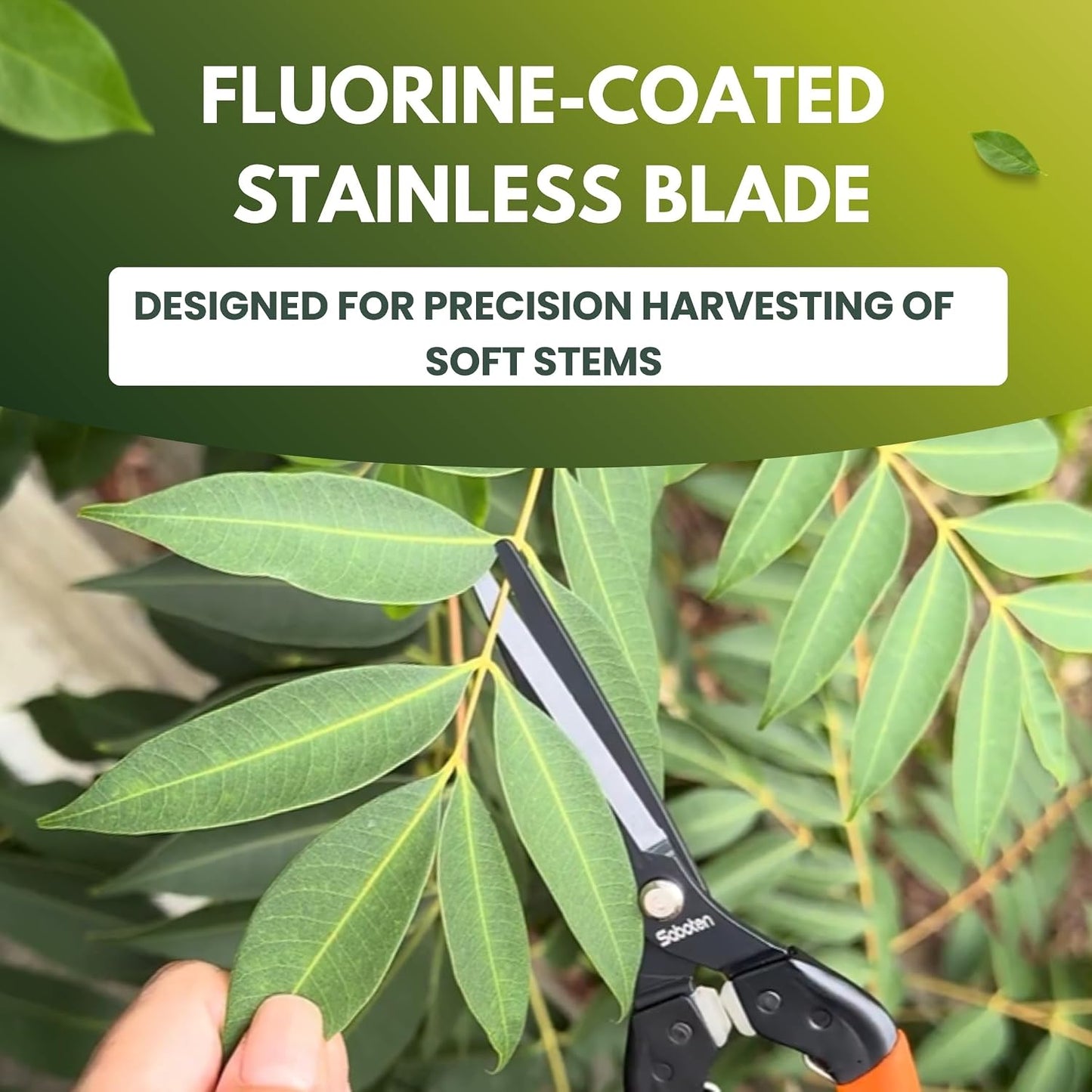 Saboten 7.9" Professional Japanese Harvesting Shears – Straight Blade, Stainless Steel with Fluorine Coating, Spring-Loaded, Ergonomic Grip – , Made in Japan