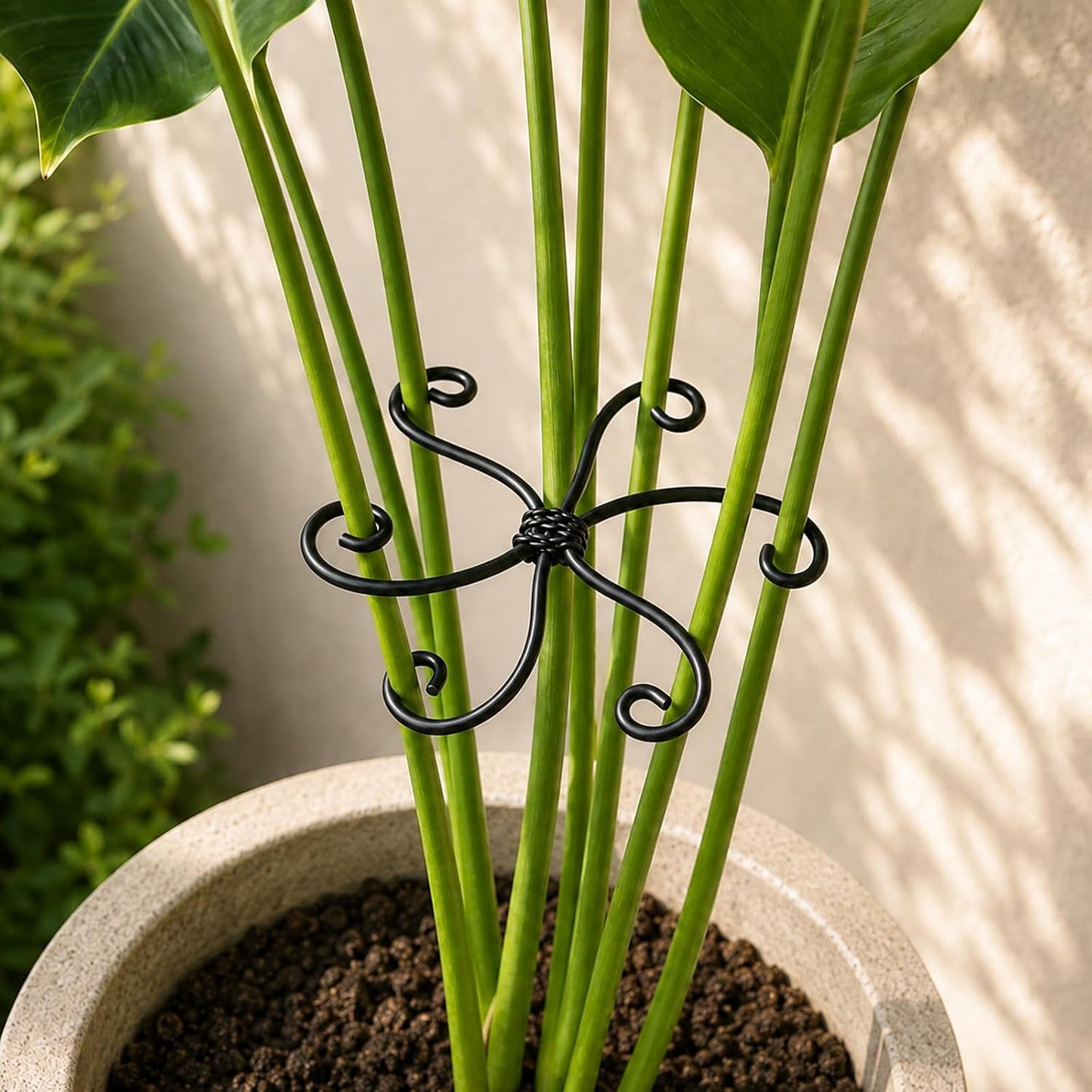 5PCS Monstera Plant Support Hook - 4.1 * 4.4IN Stem Holder