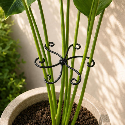 5PCS Monstera Plant Support Hook - 4.1 * 4.4IN Stem Holder
