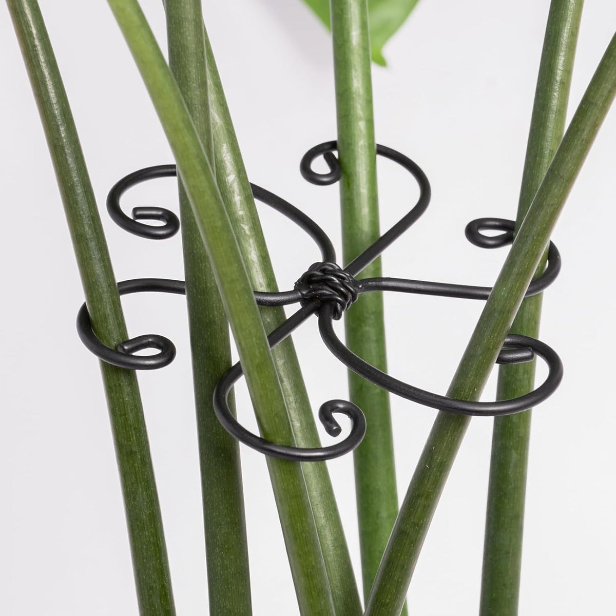 5PCS Monstera Plant Support Hook - 4.1 * 4.4IN Stem Holder