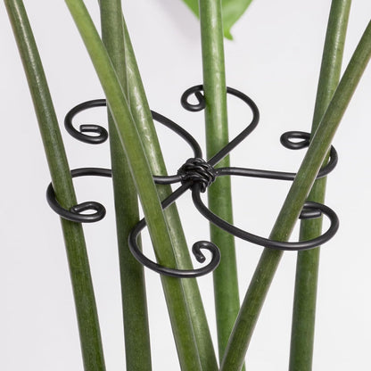 5PCS Monstera Plant Support Hook - 4.1 * 4.4IN Stem Holder