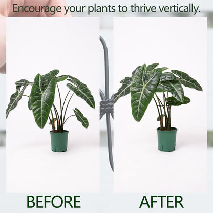 5PCS Monstera Plant Support Hook - 4.1 * 4.4IN Stem Holder
