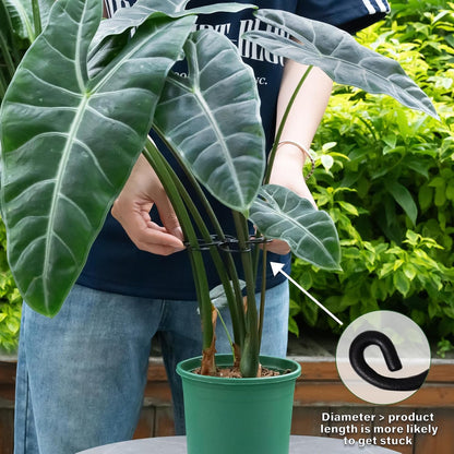 5PCS Monstera Plant Support Hook - 4.1 * 4.4IN Stem Holder
