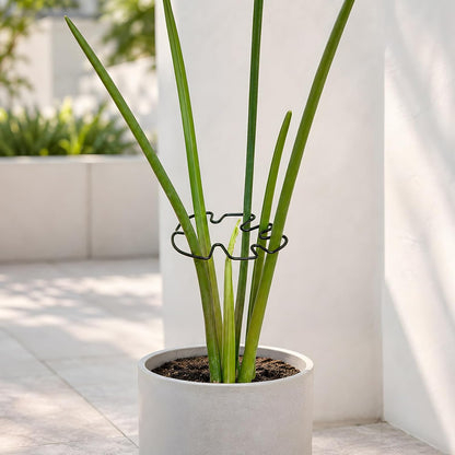 5PCS Monstera Plant Support Hook - 4.1 * 4.4IN Stem Holder