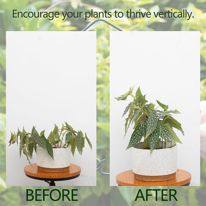 5PCS Monstera Plant Support Hook - 4.1 * 4.4IN Stem Holder