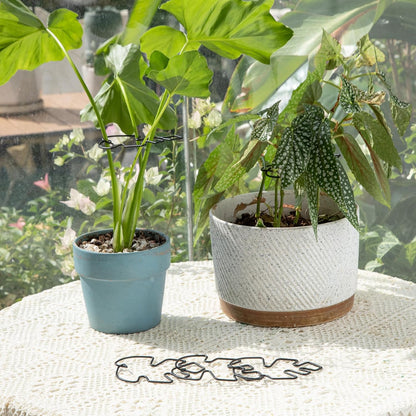 5PCS Monstera Plant Support Hook - 4.1 * 4.4IN Stem Holder