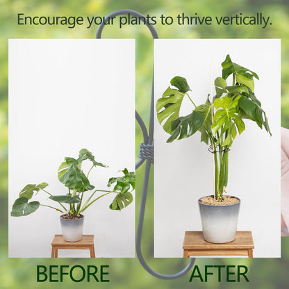 5PCS Monstera Plant Support Hook - 4.1 * 4.4IN Stem Holder