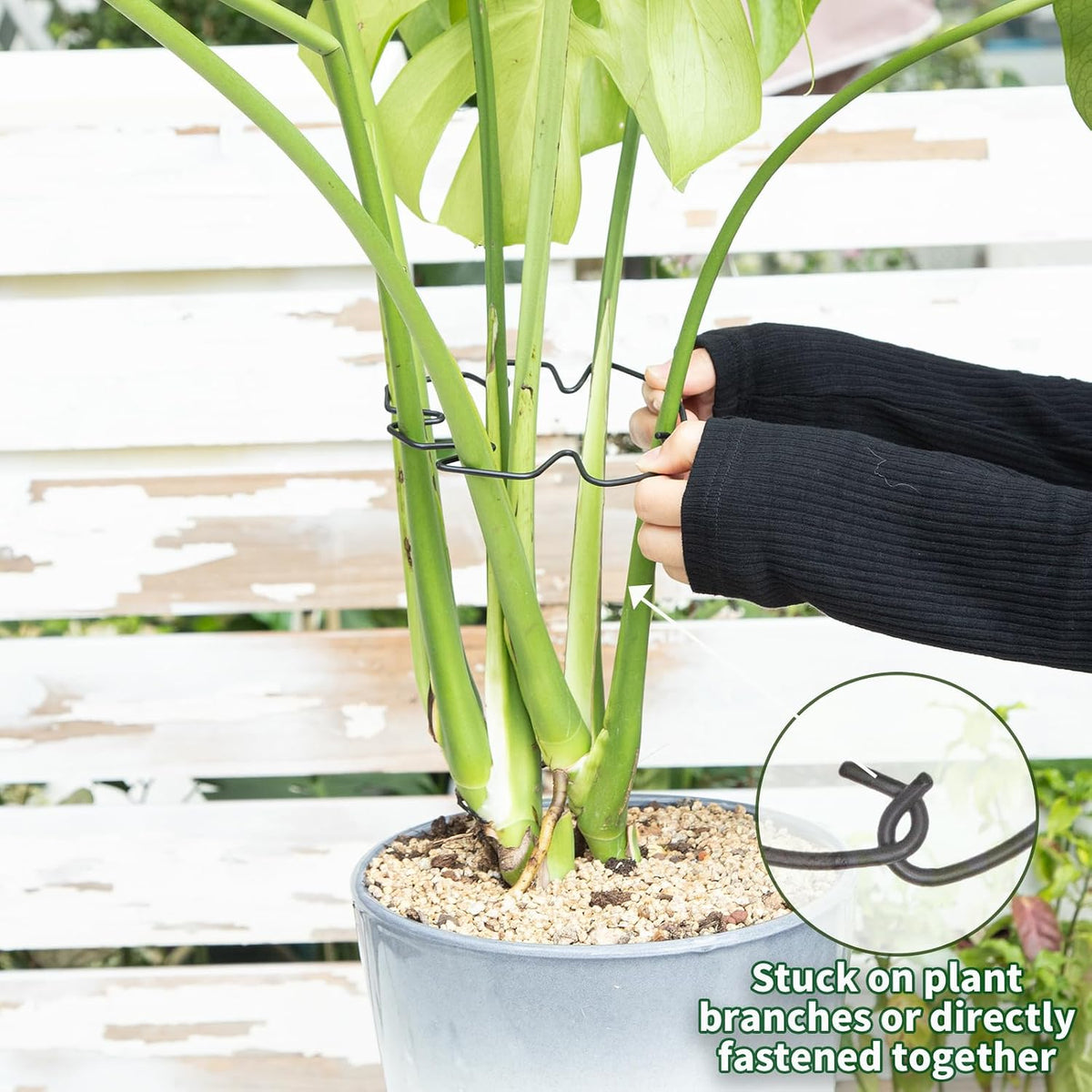 5PCS Monstera Plant Support Hook - 4.1 * 4.4IN Stem Holder