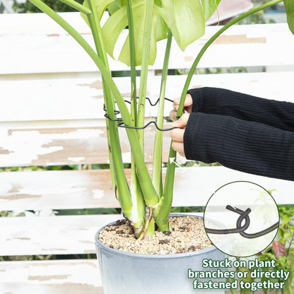 5PCS Monstera Plant Support Hook - 4.1 * 4.4IN Stem Holder