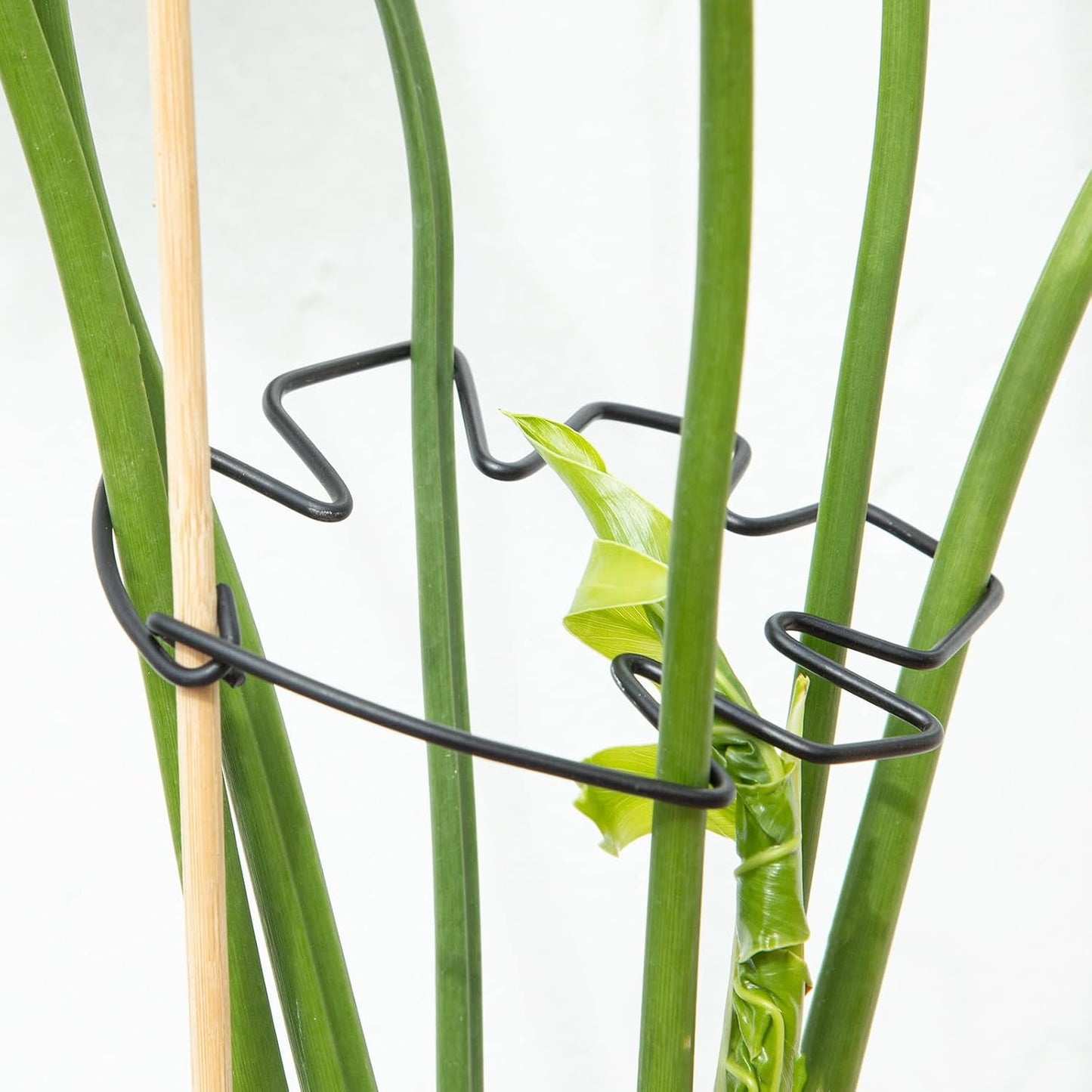 5PCS Monstera Plant Support Hook - 4.1 * 4.4IN Stem Holder
