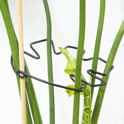 5PCS Monstera Plant Support Hook - 4.1 * 4.4IN Stem Holder
