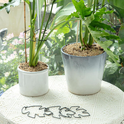 5PCS Monstera Plant Support Hook - 4.1 * 4.4IN Stem Holder