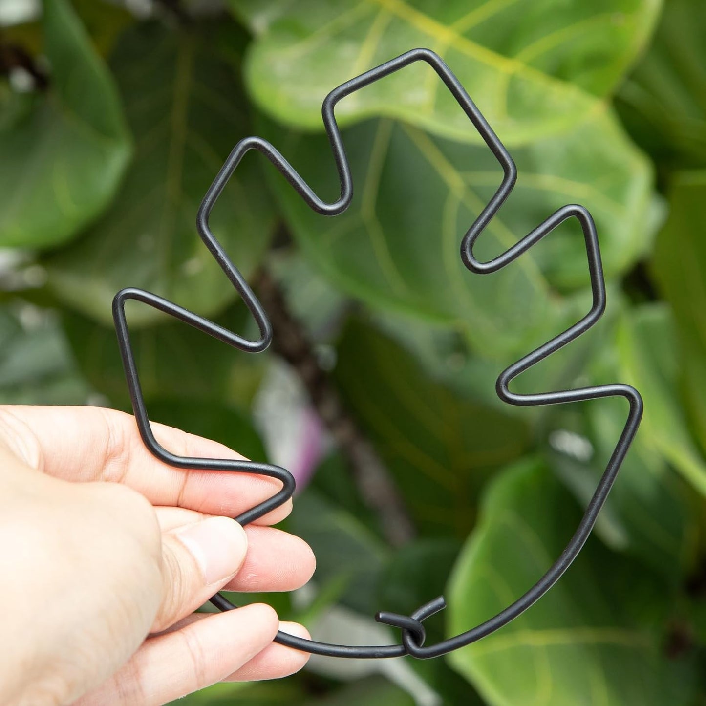 5PCS Monstera Plant Support Hook - 4.1 * 4.4IN Stem Holder