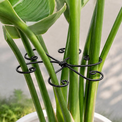 5PCS Monstera Plant Support Hook - 4.1 * 4.4IN Stem Holder
