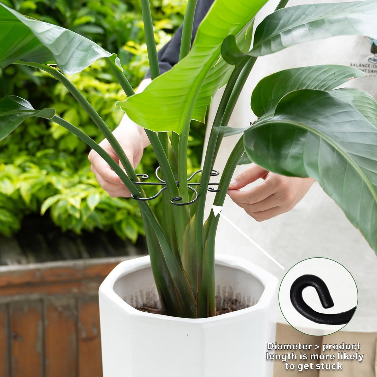 5PCS Monstera Plant Support Hook - 4.1 * 4.4IN Stem Holder