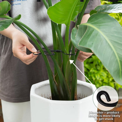 5PCS Monstera Plant Support Hook - 4.1 * 4.4IN Stem Holder