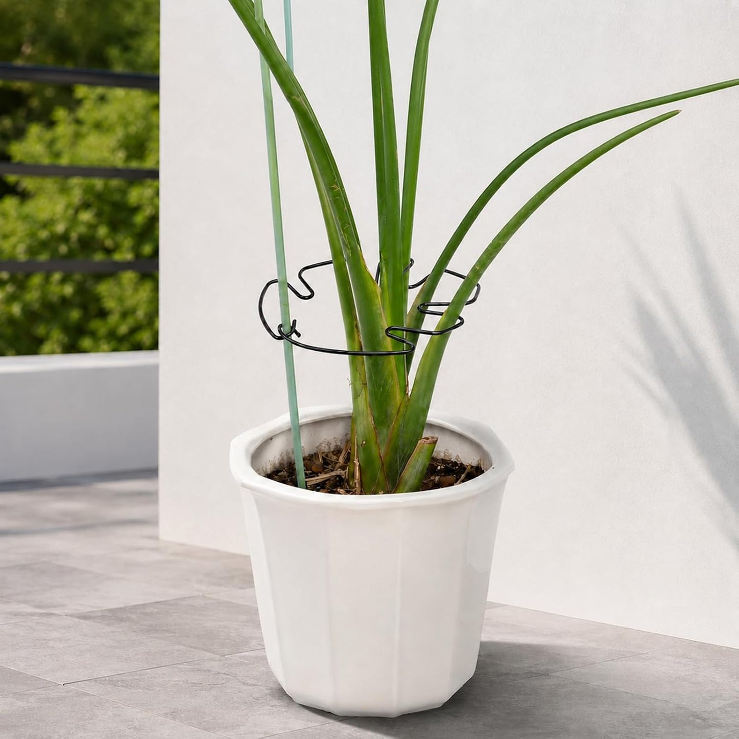 5PCS Monstera Plant Support Hook - 4.1 * 4.4IN Stem Holder