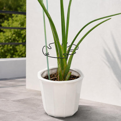 5PCS Monstera Plant Support Hook - 4.1 * 4.4IN Stem Holder