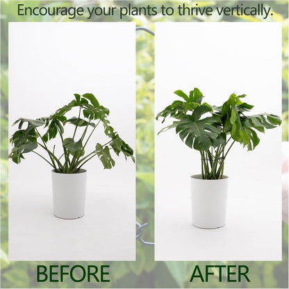 5PCS Monstera Plant Support Hook - 4.1 * 4.4IN Stem Holder