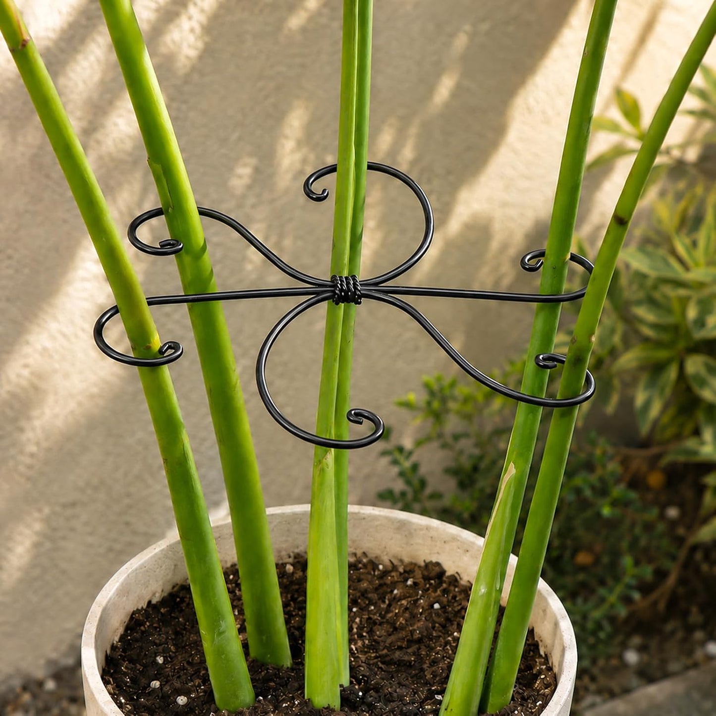 5PCS Monstera Plant Support Hook - 4.1 * 4.4IN Stem Holder